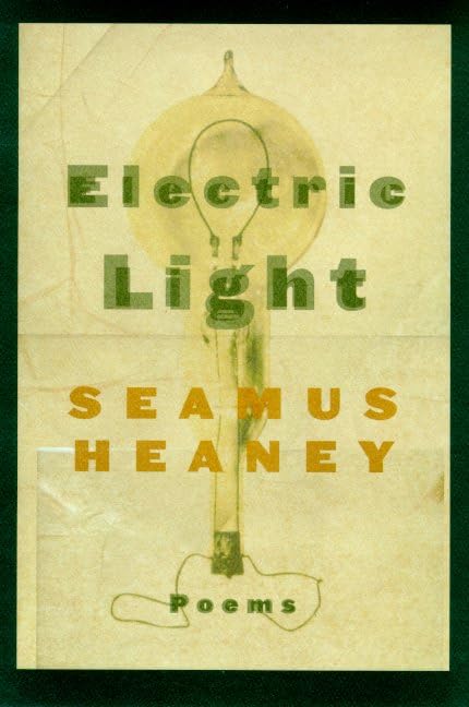 Electric light Cover