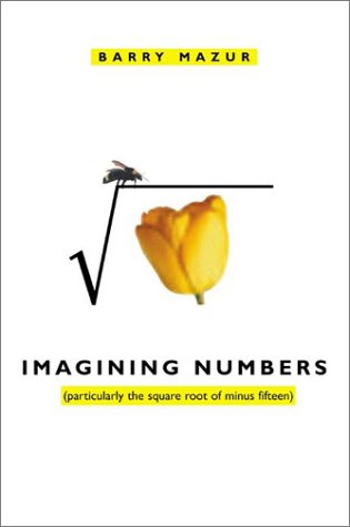 Imagining numbers Cover