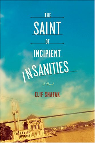 The saint of incipient insanities Cover