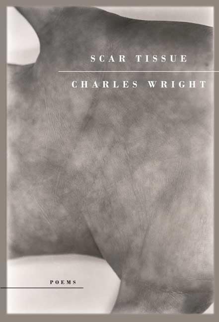 Scar tissue Cover