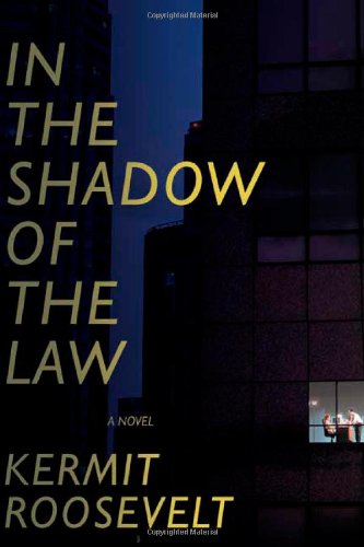 In the shadow of the law Cover