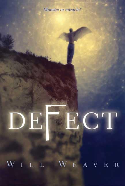 Defect Cover