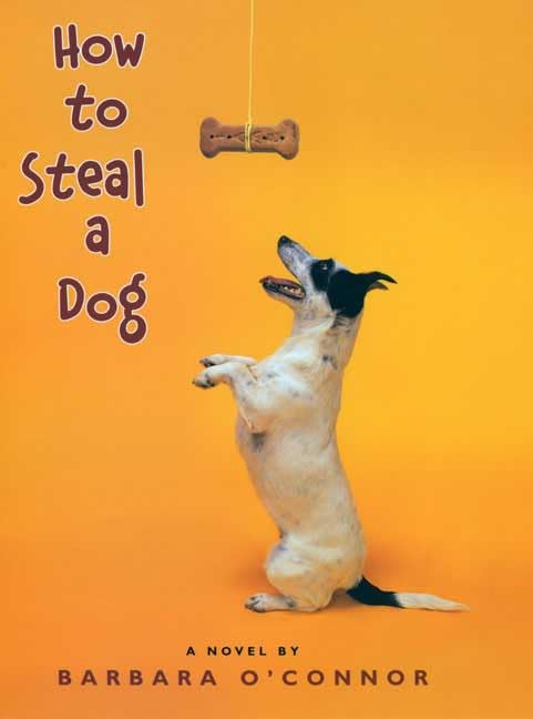 How to steal a dog Cover