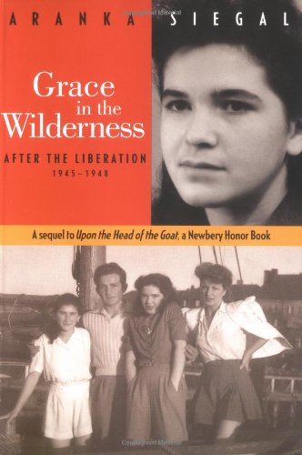 Grace in the wilderness Cover