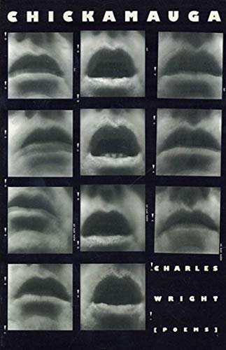 Attempted cover for Book ID: 0374524815