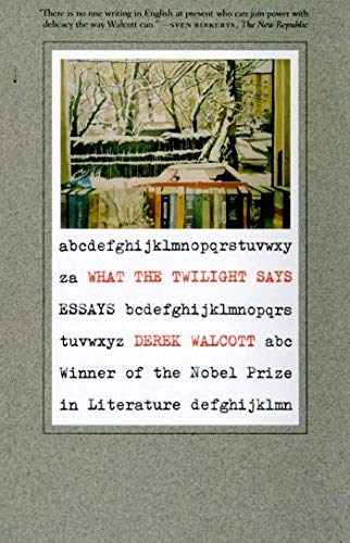 Attempted cover for Book ID: 0374526834