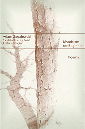 Mysticism for beginners Cover