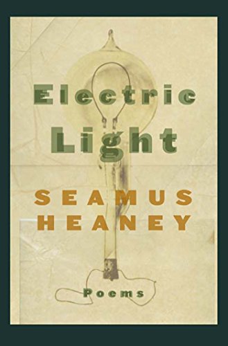 Electric Light Cover