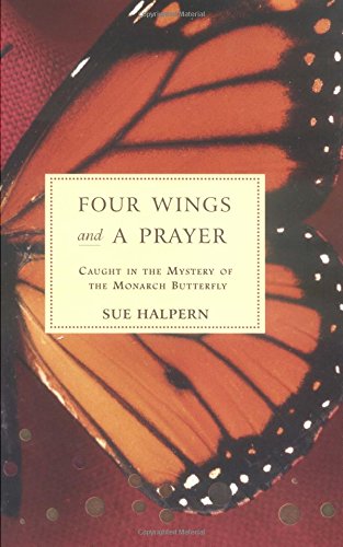 Four wings and a prayer Cover