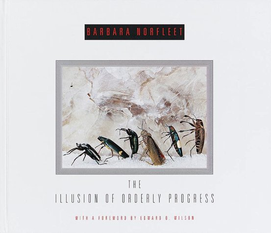 The illusion of orderly progress Cover