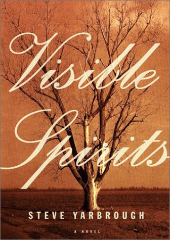 Visible spirits Cover