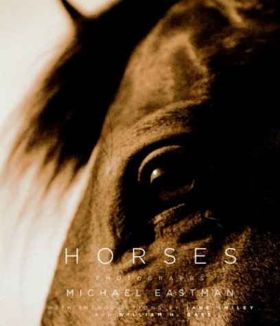 Horses Cover