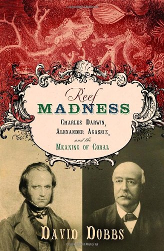 Reef madness Cover