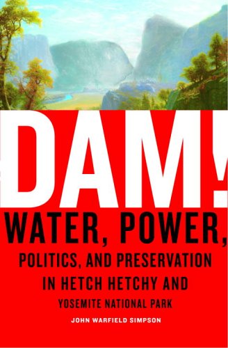 Dam! Cover