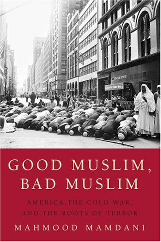 Good Muslim, bad Muslim Cover