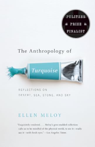 The Anthropology of Turquoise Cover