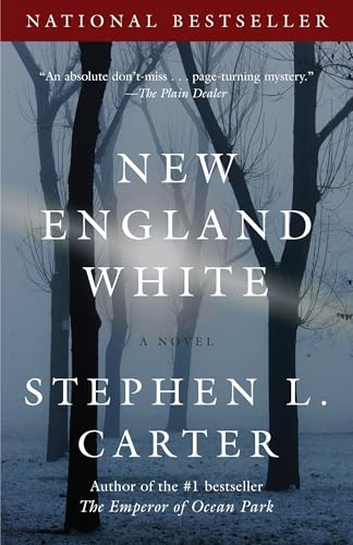 New England White (Vintage Contemporaries) Cover