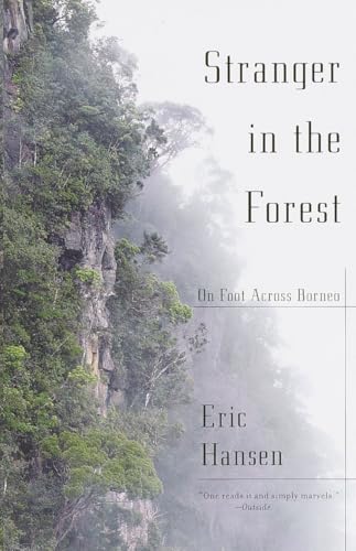 Stranger in the Forest Cover
