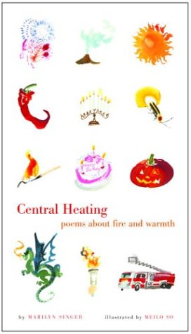 Central heating Cover