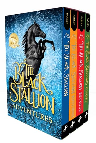 Black Stallion Adventure Set Cover