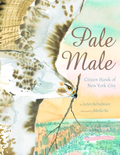 Pale Male Cover