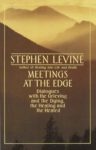 Meetings at the Edge Cover