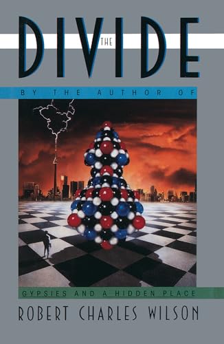 The divide Cover