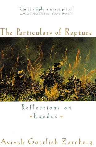 The Particulars of Rapture Cover