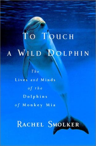To touch a wild dolphin Cover