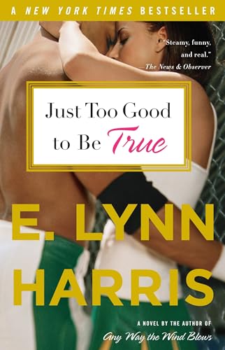 Just Too Good to Be True Cover