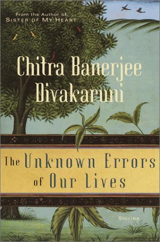 The unknown errors of our lives Cover
