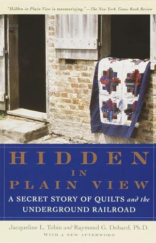 Hidden in plain view Cover