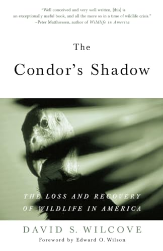 Attempted cover for Book ID: 0385498810