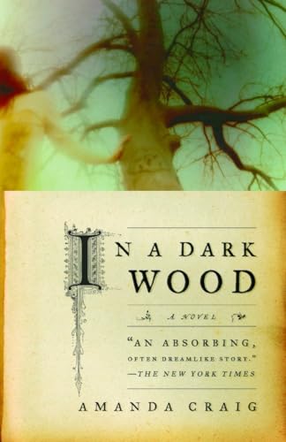 In a dark wood Cover