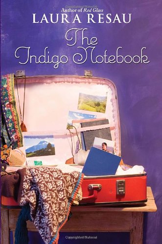 The Indigo Notebook (Indigo Notebook (Hardback)) Cover