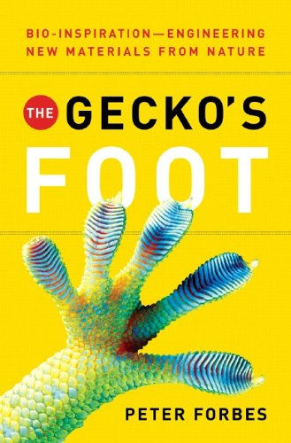 The gecko's foot Cover