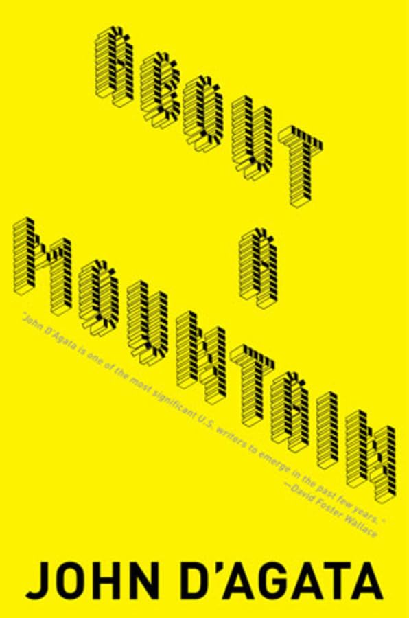 About A Mountain Cover