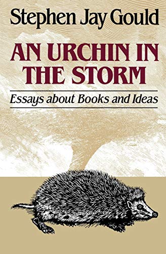 An urchin in the storm Cover