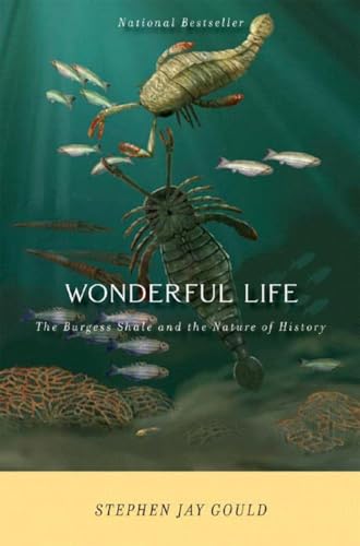 Wonderful Life Cover
