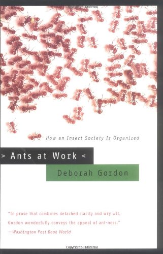 Ants at Work Cover
