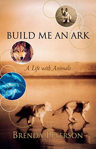 Build Me an Ark Cover