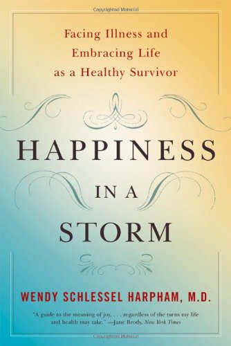 Happiness in a Storm Cover