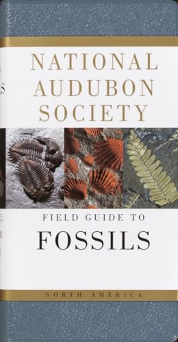The Audubon Society field guide to North American fossils Cover