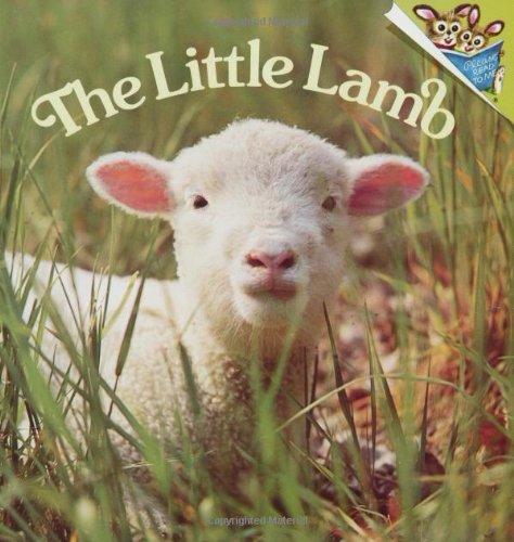 The little lamb Cover