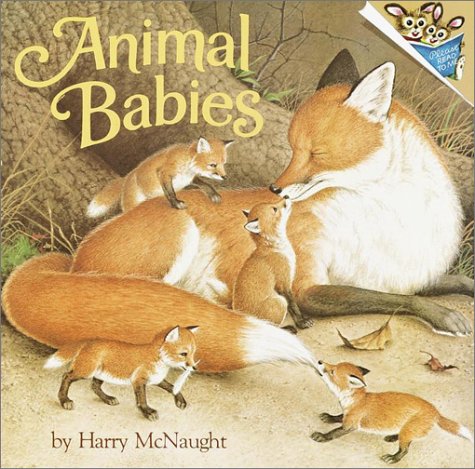 Animal babies Cover