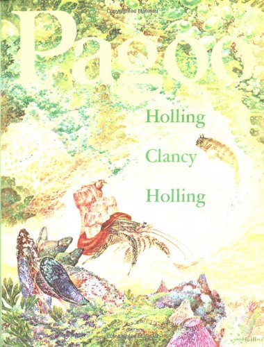Pagoo Cover
