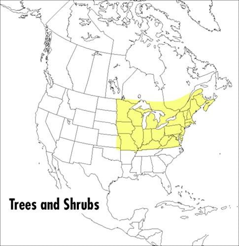 A Field Guide to Trees and Shrubs Cover