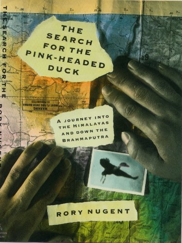 The search for the pink-headed duck Cover