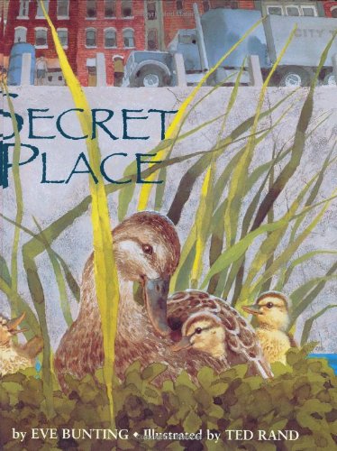 Secret place Cover