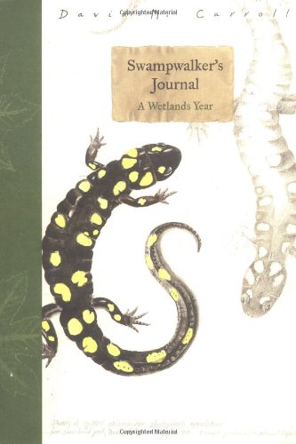 Attempted cover for Book ID: 0395647258